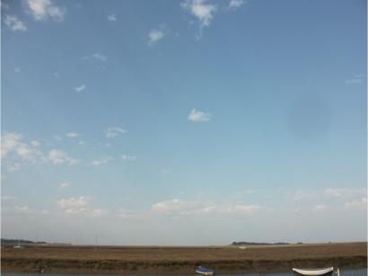 a bright blue sky looking out over the sea