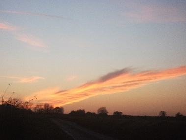 a sunset above trees